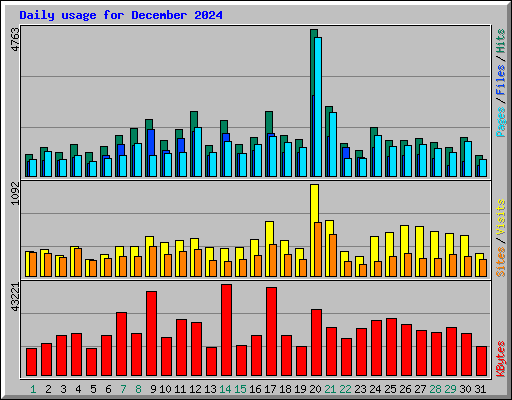 Daily usage for December 2024