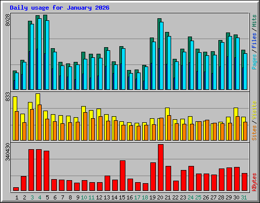 Daily usage for January 2026