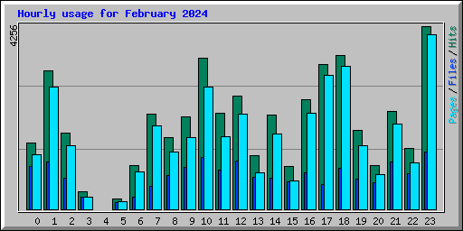 Hourly usage for February 2024