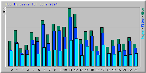 Hourly usage for June 2024