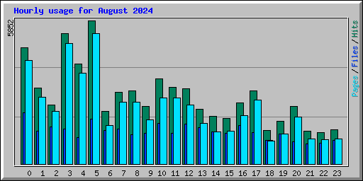 Hourly usage for August 2024