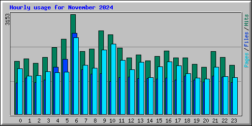 Hourly usage for November 2024