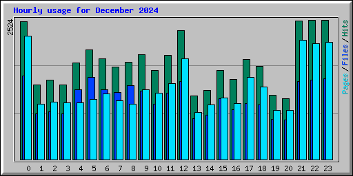 Hourly usage for December 2024