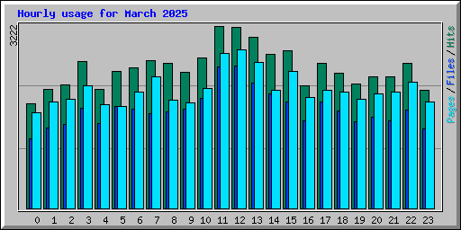 Hourly usage for March 2025