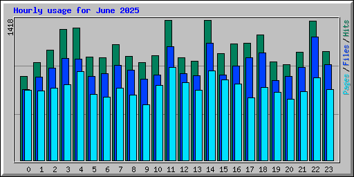 Hourly usage for June 2025