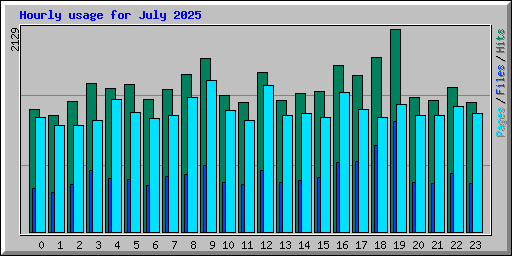 Hourly usage for July 2025