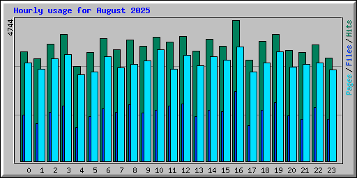 Hourly usage for August 2025