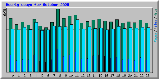 Hourly usage for October 2025