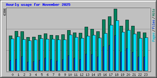 Hourly usage for November 2025