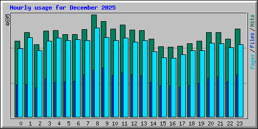Hourly usage for December 2025