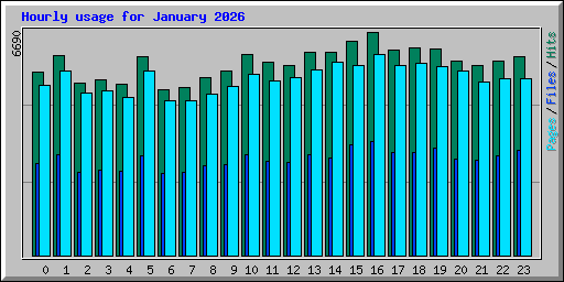 Hourly usage for January 2026
