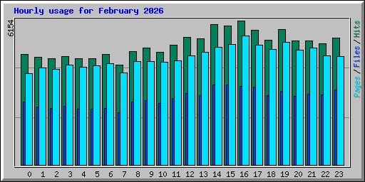 Hourly usage for February 2026